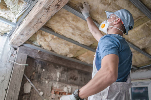 Best Types of Insulation in Steamboat Springs, CO