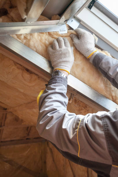 Best Insulation Installation Services in Steamboat Springs, CO